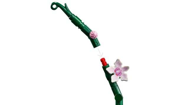 LEGO® Botanicals 10311 Orhidee