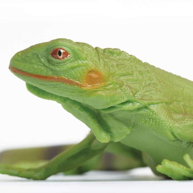 Safari® Mláďa leguána