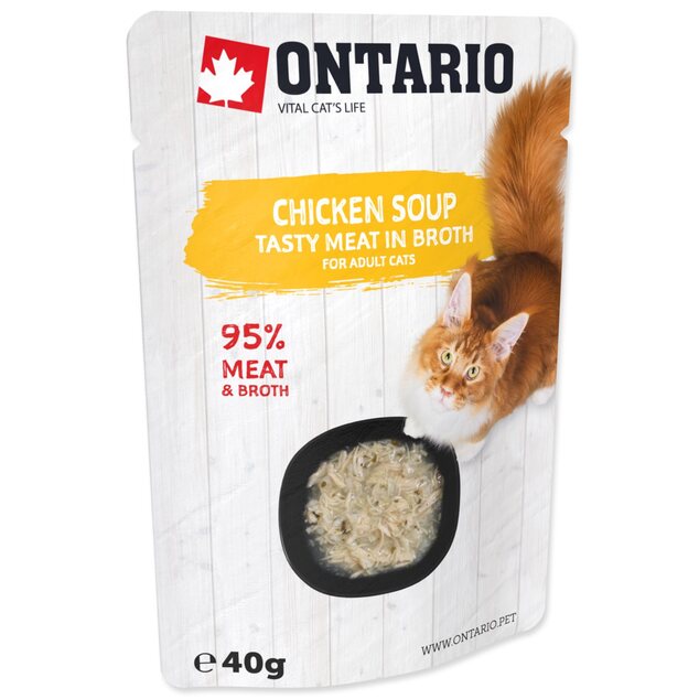 Polievka Ontario kura 40g