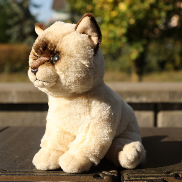 Plyšová mačka ragdoll 23 cm SOFT COLLECTION
