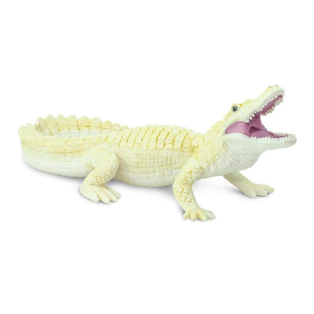 Safari® Aligator alb