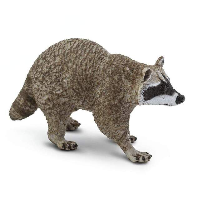 Safari® Mýval