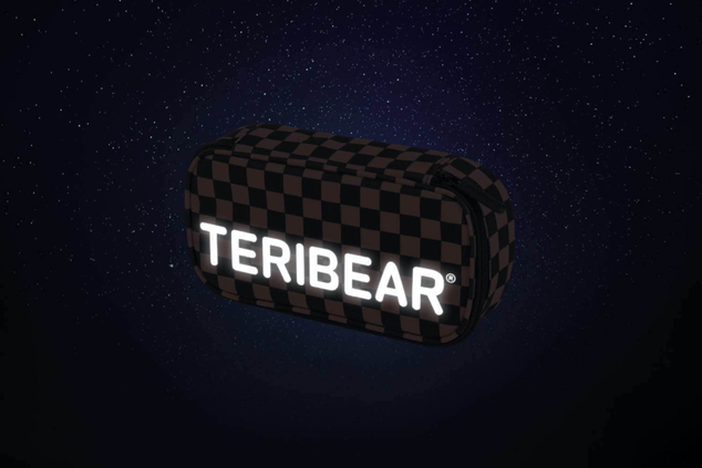 BAAGL Schüleretui Skate TERIBEAR