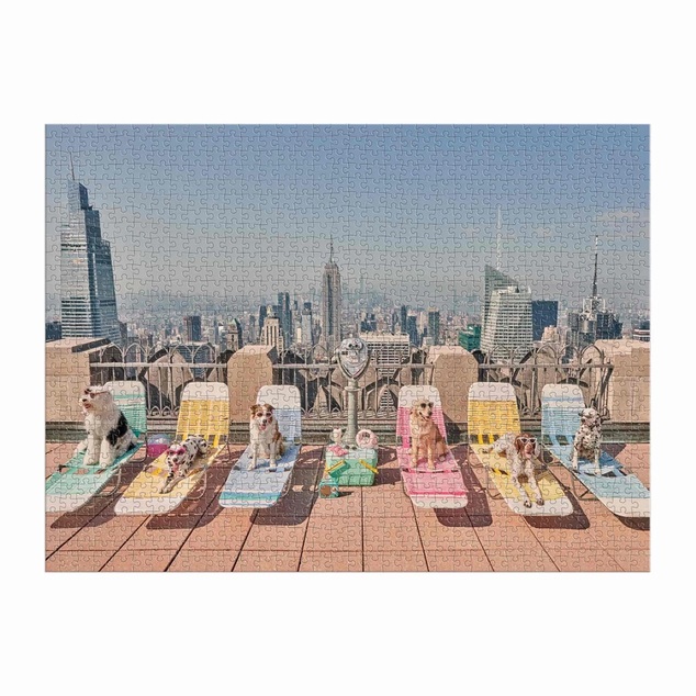 Galison Puzzle Psi u New Yorku Gray Malin 1000 dijelova