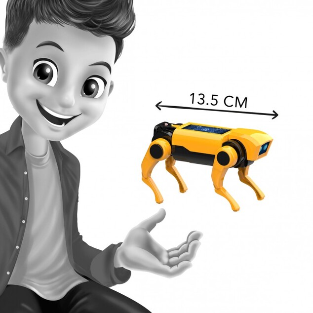 MiniLab RC Cane Robotico