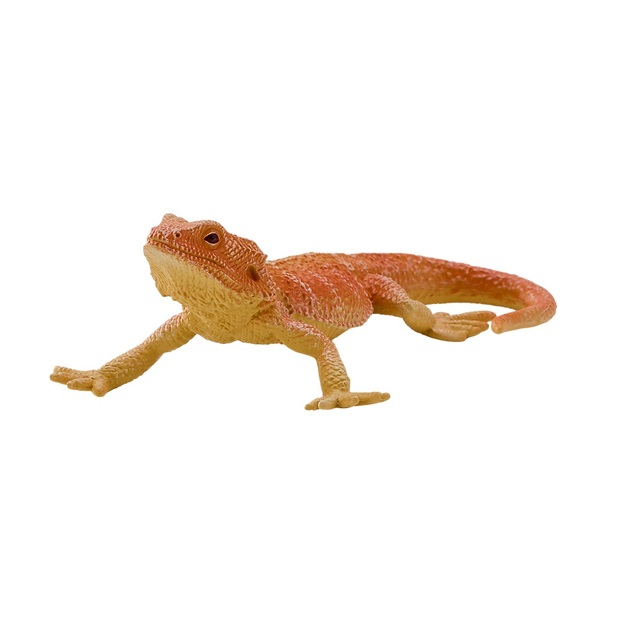 Mojo Agama