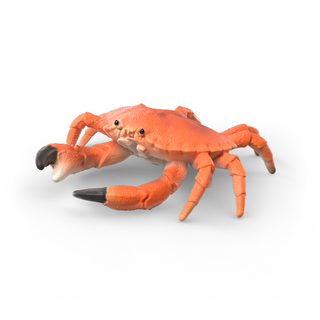 Schleich Meereslebewesen-Erkundungsset