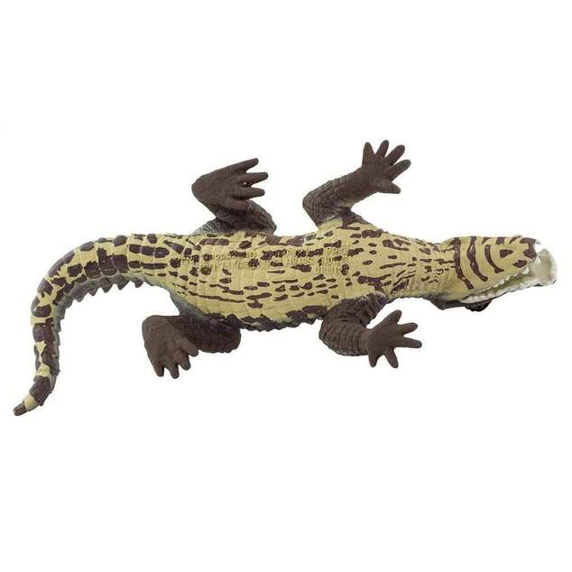 Safari® Kajman