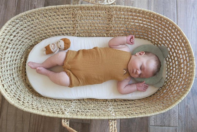 Cuscino Panda, Khaki