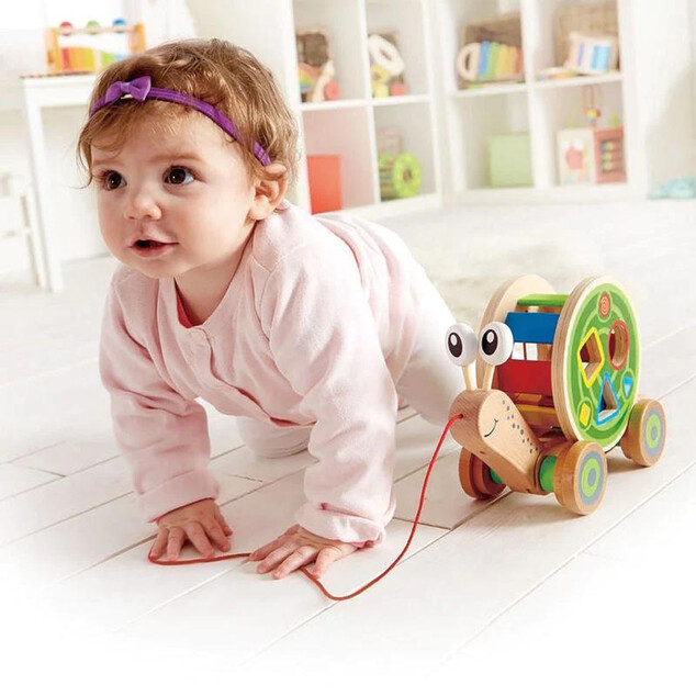 Hape Tull Slull cu forme geometrice de inserție