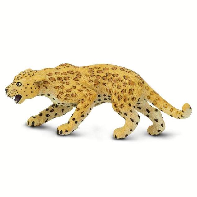 Safari® Leopard