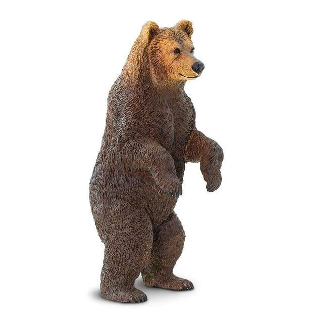 Safari® Medveď grizzly