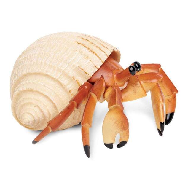 Safari® Krab pustovník