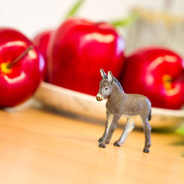 Safari® Mláďa osla
