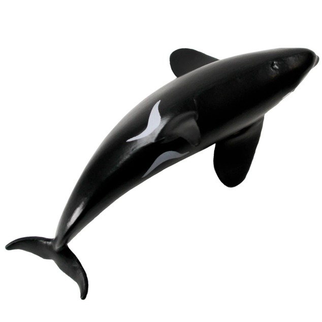 Safari® Orca typ D