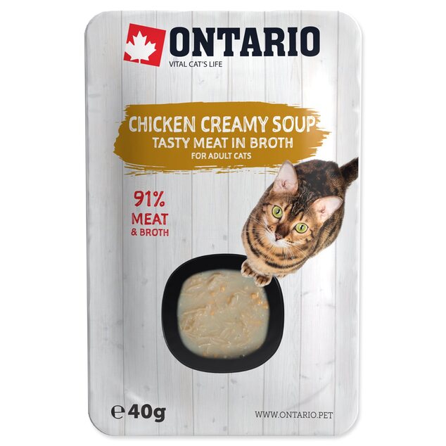 Polievka Ontario kura so syrom 40g