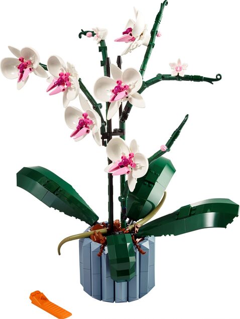 LEGO® Botanicals 10311 Orhidee