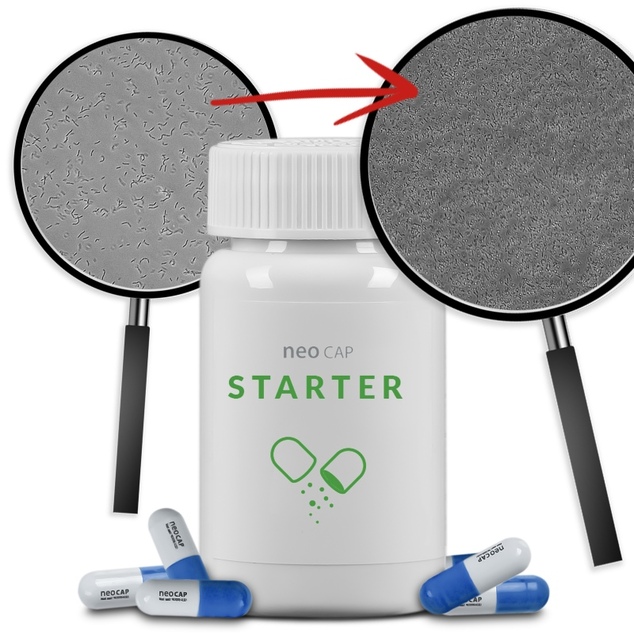 Neo Cap Starter 20 kapsulí