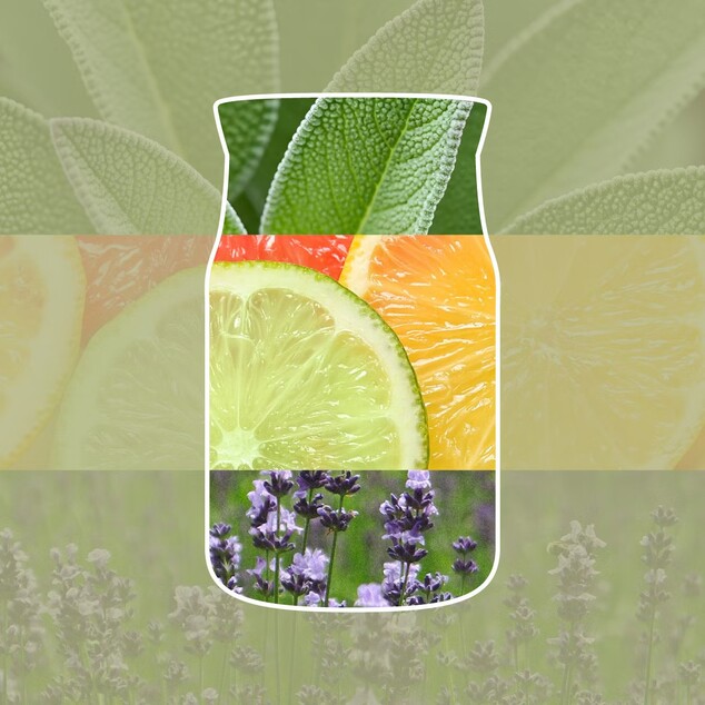 YC Signature Kerze Klein Sage &amp; Citrus