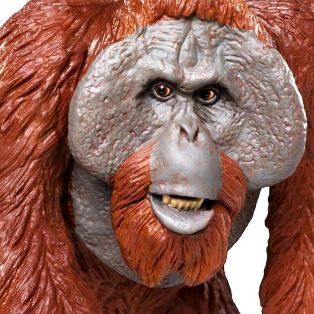 Safari® Borneo-Orang-Utan