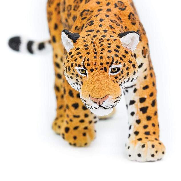 Safari® Jaguár