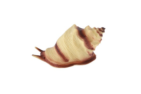 Animali marini con accessori plastica 13 pz