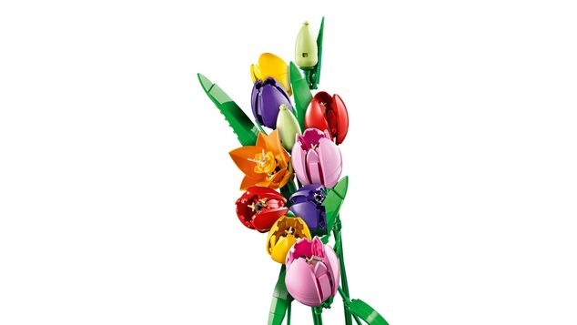 LEGO® Botanicals 11501 Kytica tulipánov