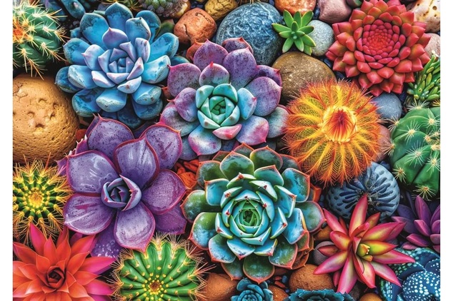 Trefl Puzzle 1000 Bunte Sukkulenten