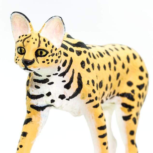 Safari® Serval