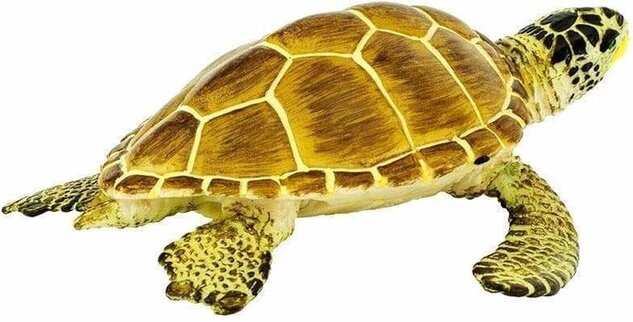 Safari® Korytnačka Kareta obyčajná