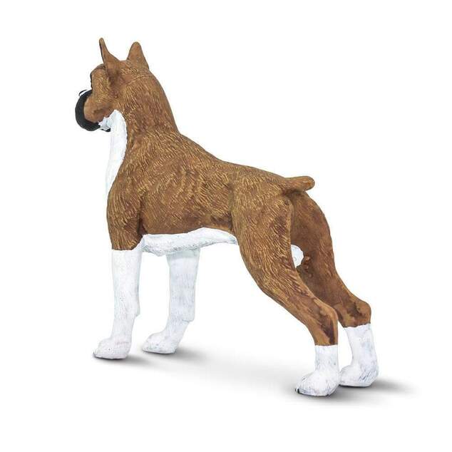 Safari® Pes Boxer