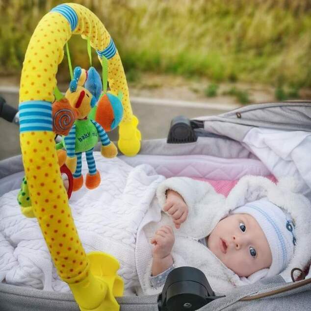 Spielzeug für den Kinderwagen Baby Mix