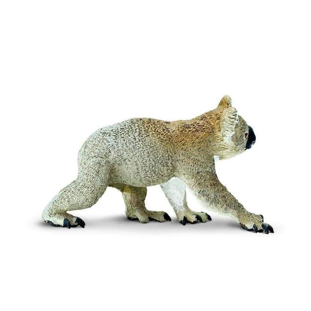 Safari® Koala