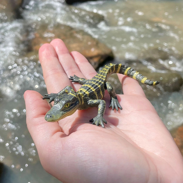 Safari® Alligator mláďa