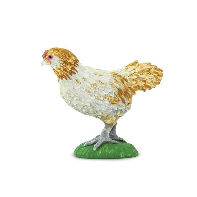 Safari® Sliepka Ameraucana
