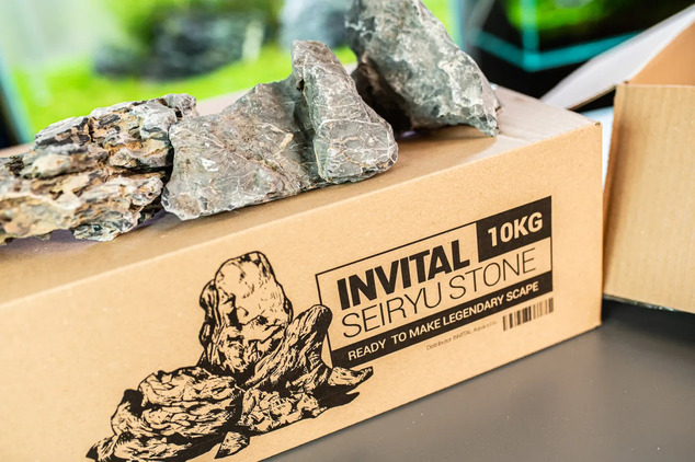 Seiryu stone MIX karton 10kg