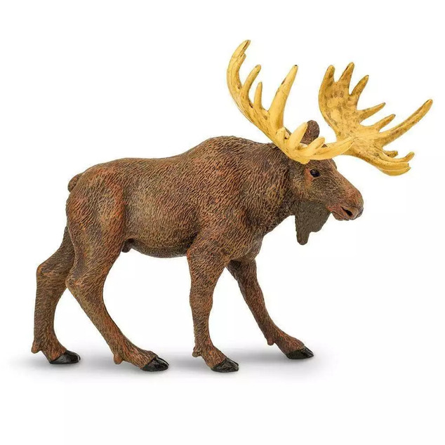 Safari® Los mokraďový