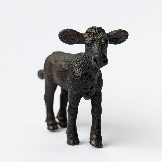 Safari® Teliatko plemena Angus