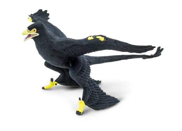 Safari® Microraptor dinosaurus