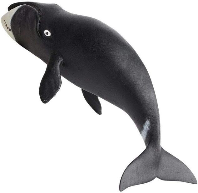 Safari® Ballena de Groenlandia