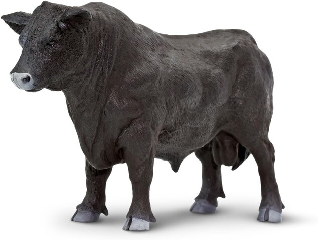 Safari® Býk Angus