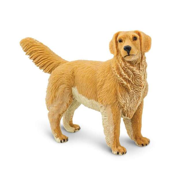 Safari® Zlatý retriever