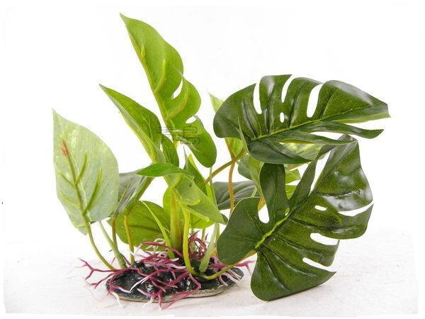 UP Aqua Kunststoff-Aquarienpflanze Anubias 1215
