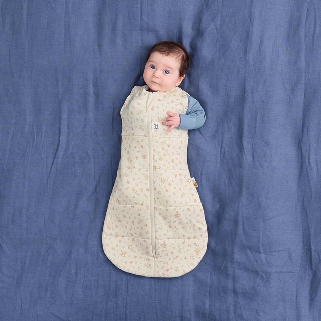 ERGOPOUCH Pucktuch und Schlafsack 2-in-1 Cocoon Lullaby 0-3m, 3-6kg, 2,5tog