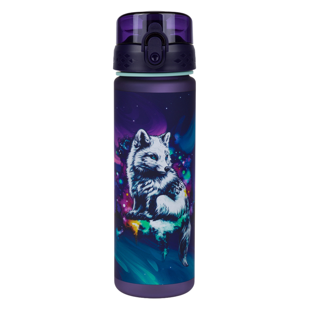 BAAGL Tritan-Flasche für Getränke Aurora, 500 ml
