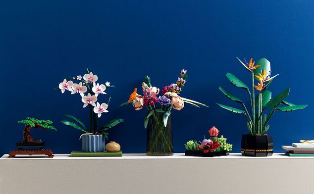 LEGO® Botanicals 10311 Orhidee