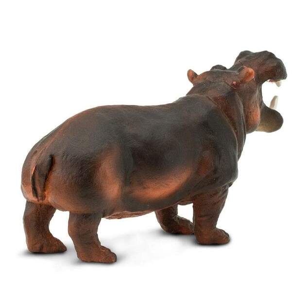 Safari® Hroch obojživelný