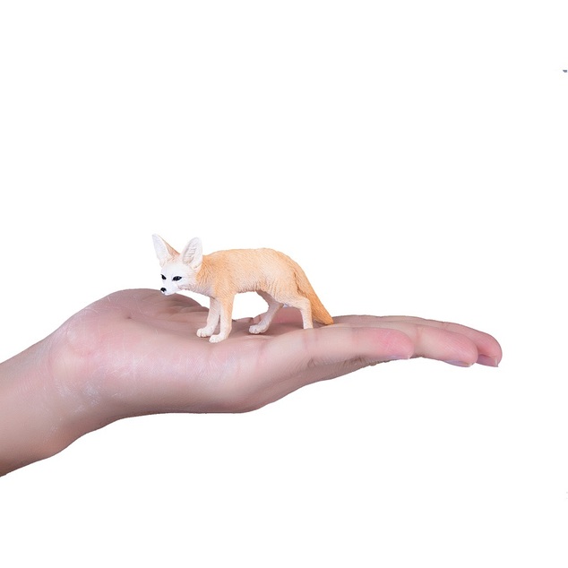 Il mio Fennec di Volpe