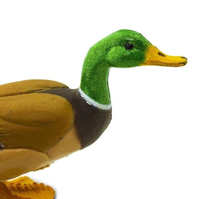 Safari® Káčer divý