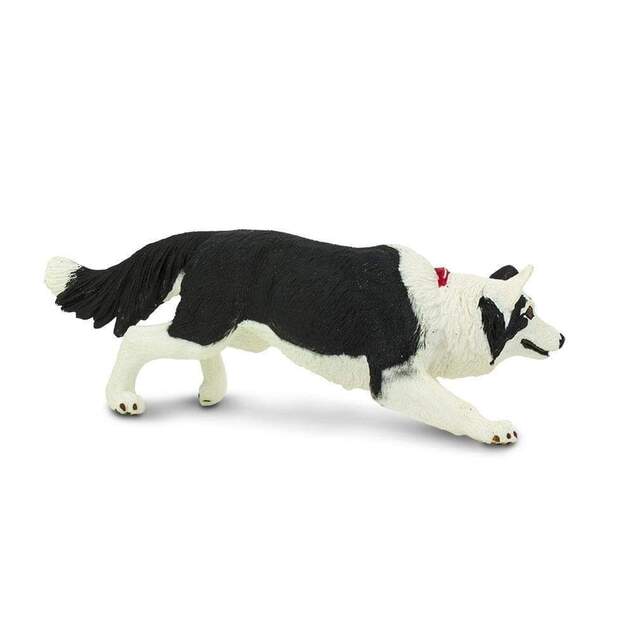 Safari® Border Collie